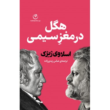 هگل در مغز سیمی